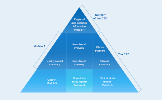 Regulatory Affairs Platform