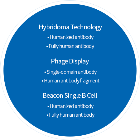 Technology Pathway