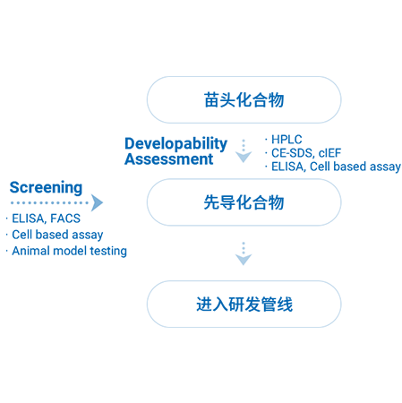 分析评价